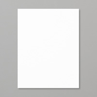 Whisper White 8-1/2 X 11 Cardstock