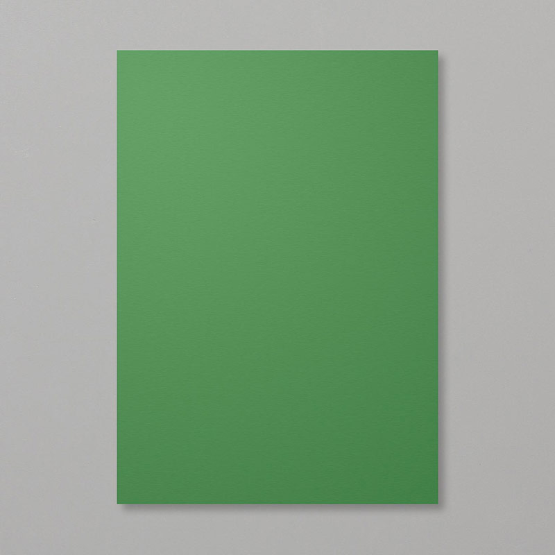 Garden Green A4 Cardstock