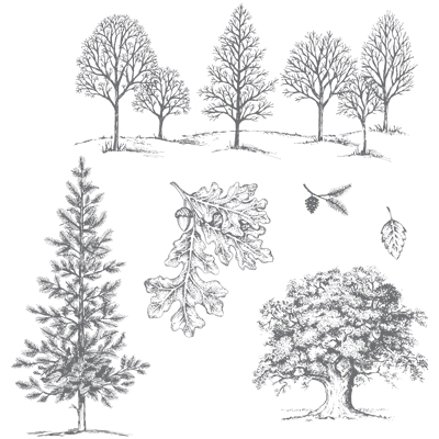 Lovely As A Tree Clear-Mount Stamp Set