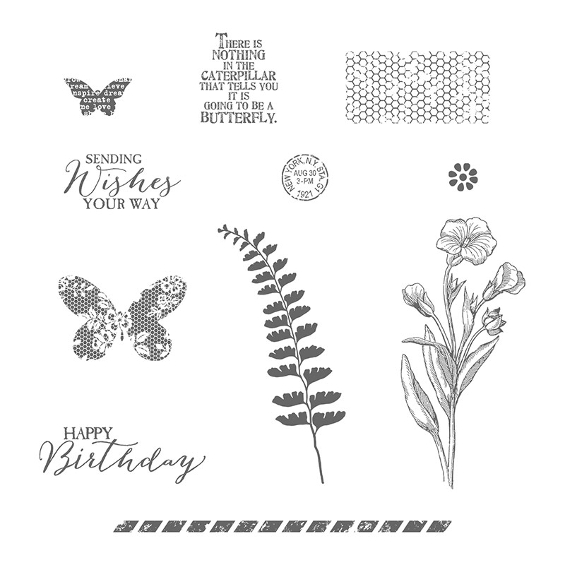 Butterfly Basics Clear-Mount Stamp Set
