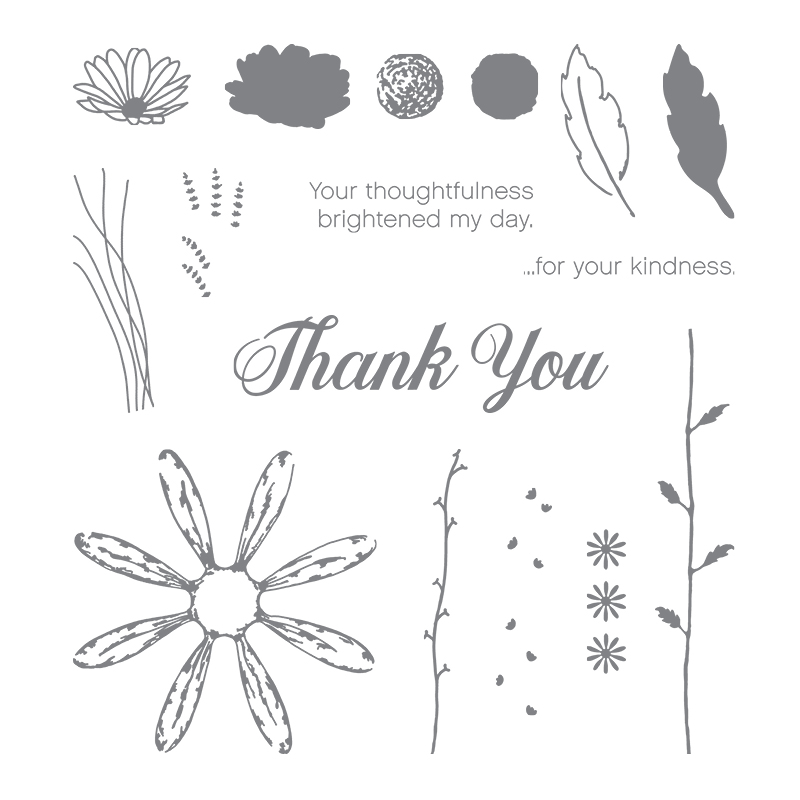 Daisy Delight Photopolymer Stamp Set