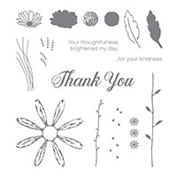 Daisy Delight Photopolymer Stamp Set