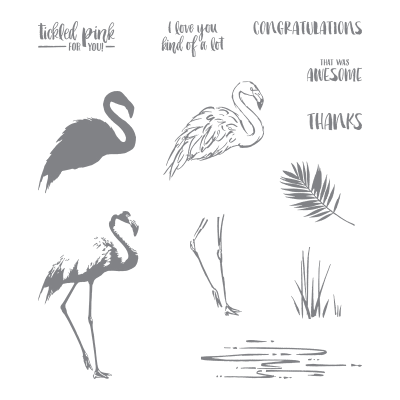 flamingo bird stamp set