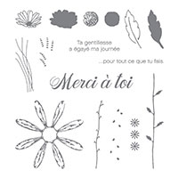 Adorable marguerite Photopolymer Stamp Set (French)