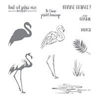 Fabuleux flamant Photopolymer Stamp Set (French)
