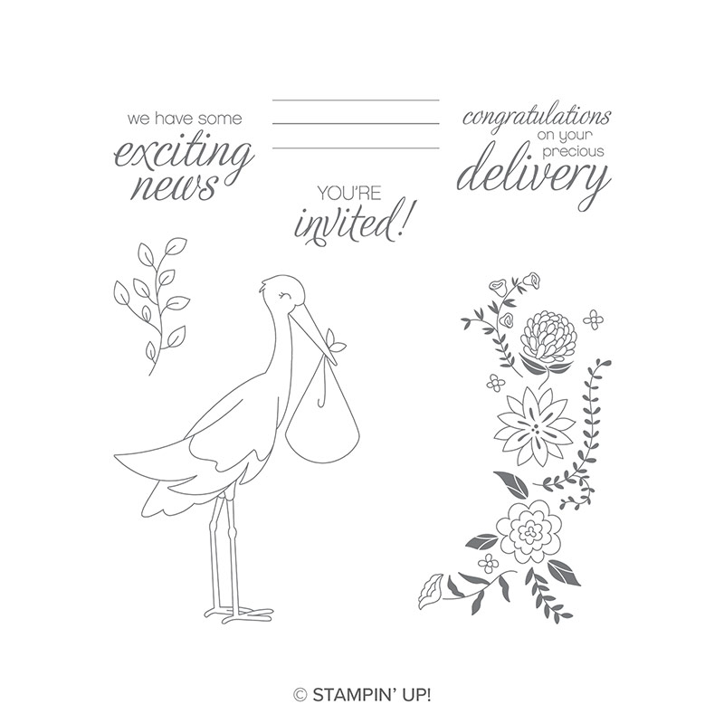 Precious Delivery Clear-Mount Stamp Set