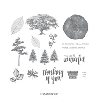 Rooted In Nature Wood-Mount Stamp Set