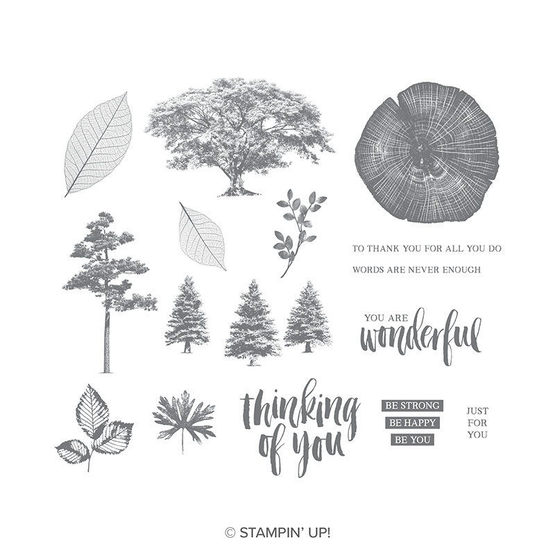 detailed realistic tree and leaf stamps