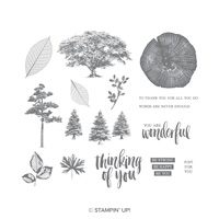 Rooted In Nature Clear-Mount Stamp Set