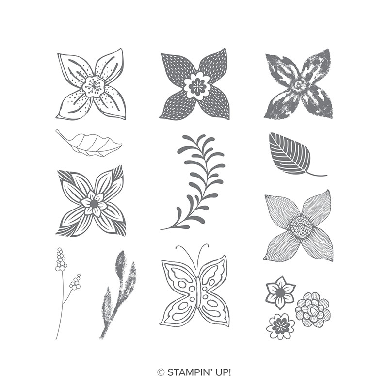 https://www.stampinup.com/ECWeb/product/146649/pop-of-petals-clear-mount-stamp-set?dbwsdemoid=2035972