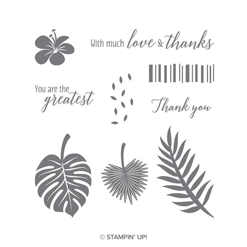 Tropical Chic Clear-Mount Stamp Set