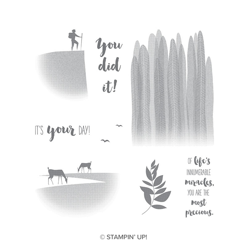 Seize The Day Clear-Mount Stamp Set