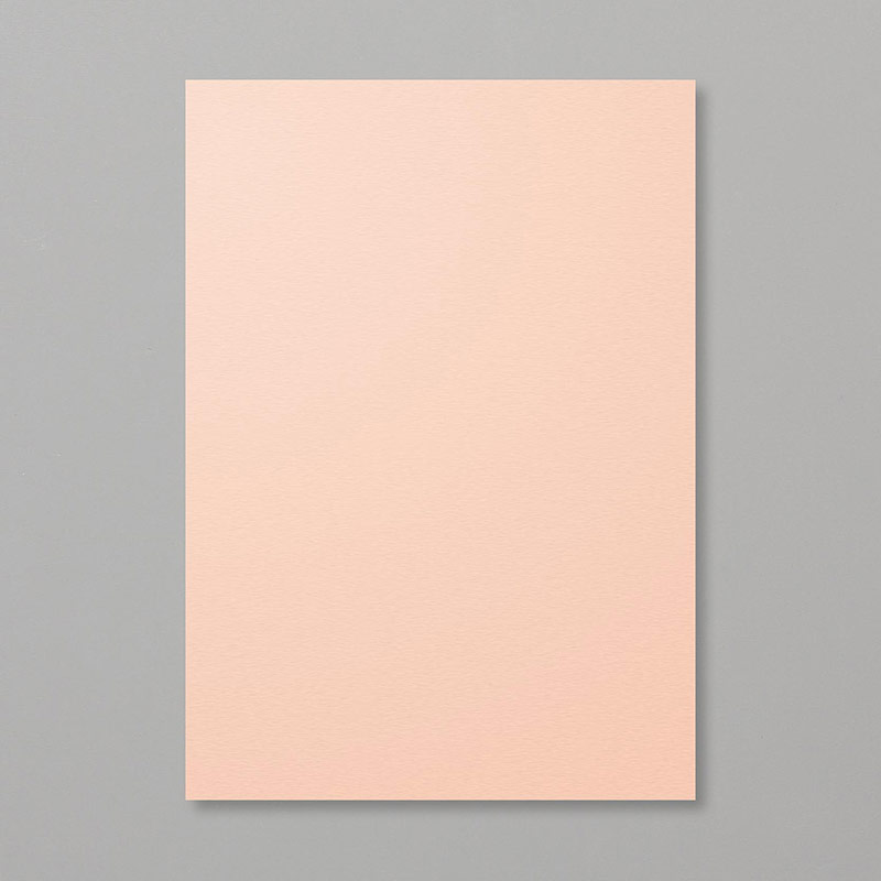 Petal Pink A4 Cardstock	147009
Price: £8.00