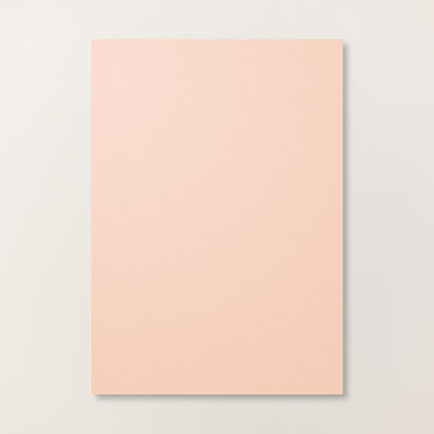 Petal Pink A4 Cardstock