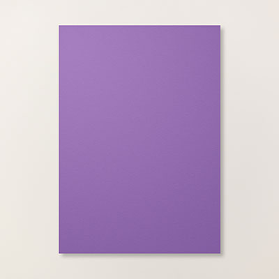 Gorgeous Grape A4 Cardstock