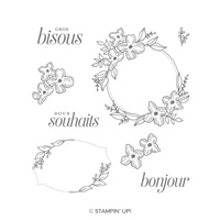 Cadres fleuris Clear-Mount Stamp Set (French)
