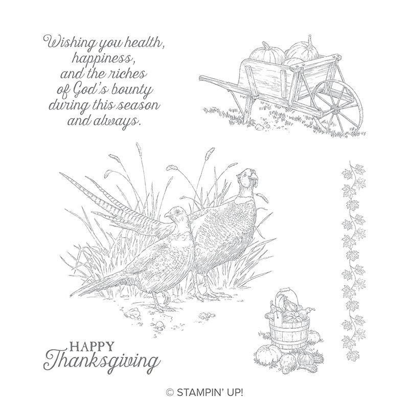 Pleasant Pheasants Clear-Mount Stamp Set