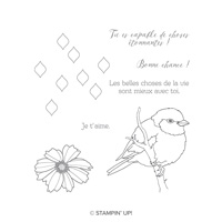 Mieux avec toi Clear-Mount Stamp Set (French)