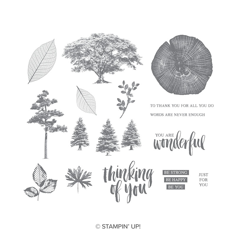 https://www.stampinup.com/ecweb/product/148217/rooted-in-nature-cling-mount-stamp-set?dbwsdemoid=2035972