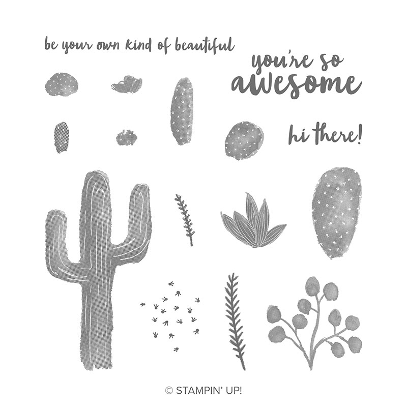 https://www2.stampinup.com/ecweb/product/148700/flowering-desert-photopolymer-stamp-set