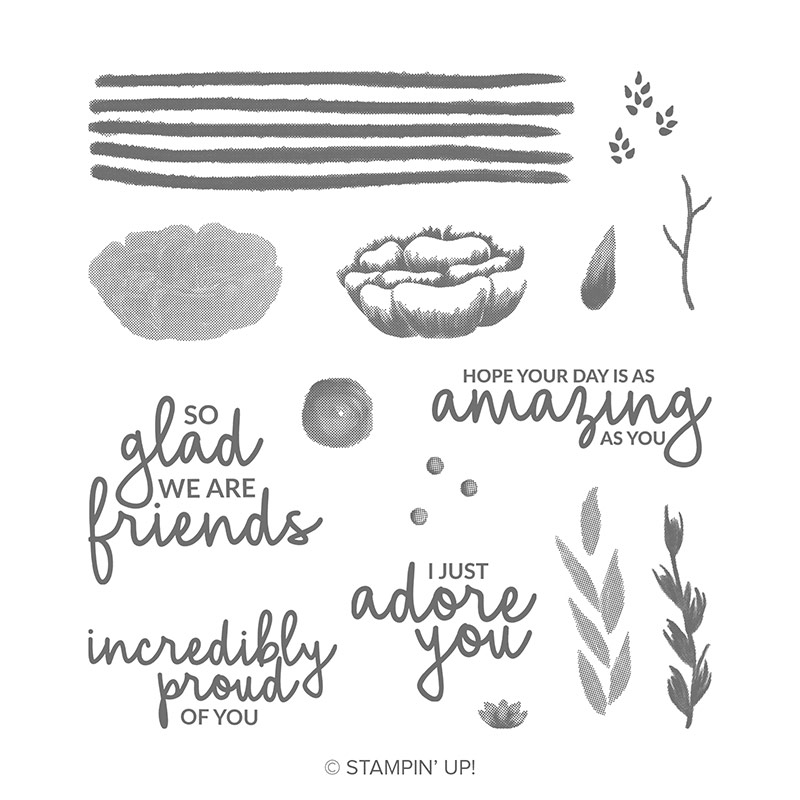 https://www.stampinup.com/ecweb/product/148708/incredible-like-you-photopolymer-stamp-set