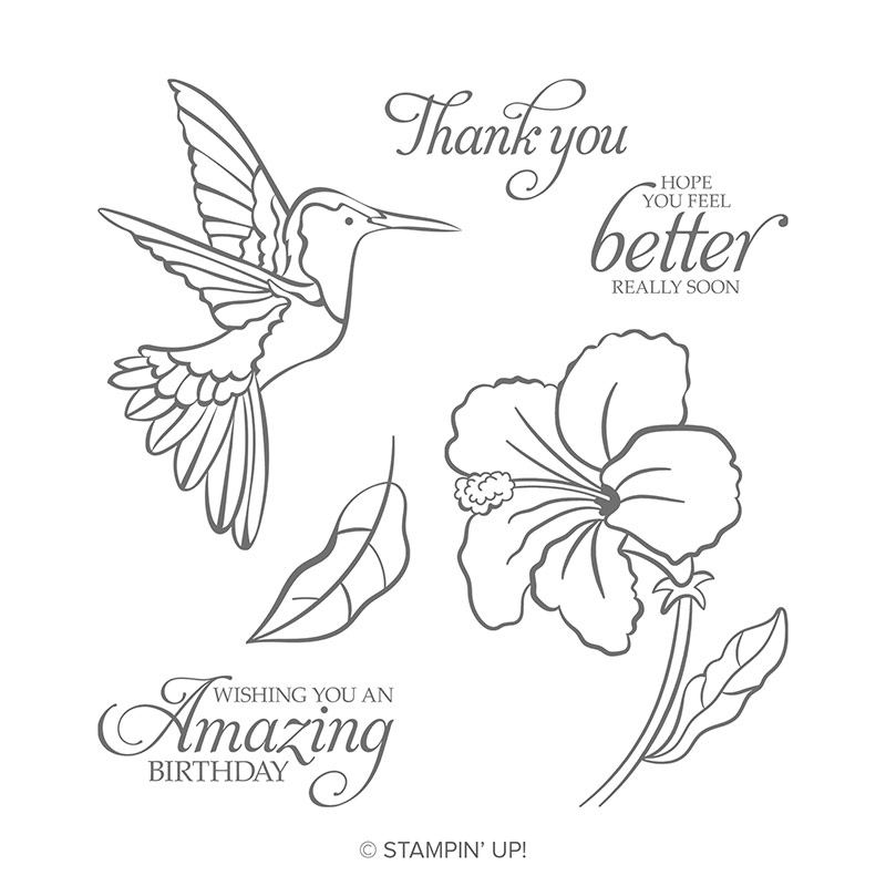 Humming Along Cling Stamp Set