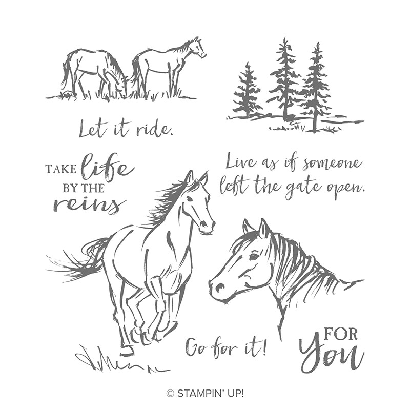 Let It Ride Cling Stamp Set