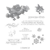 Tourbillon de flocons Clear-Mount Stamp Set (French)