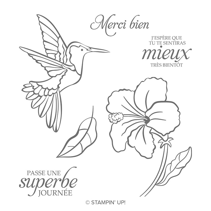 Colibri Amical Cling Stamp Set (French)