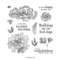 https://www.stampinup.com/ecweb/product/149252/beautiful-friendship-photopolymer-stamp-set?dbwsdemoid=2035972