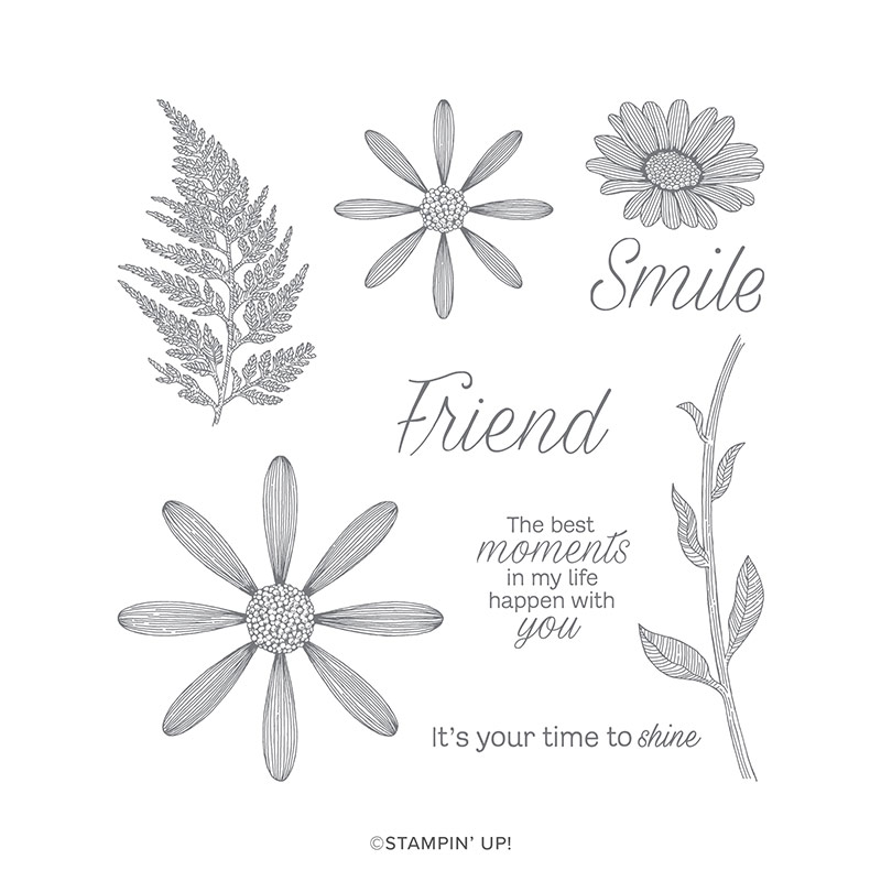 https://www.stampinup.com/ecweb/product/149325/daisy-lane-cling-stamp-set?demoid=21860