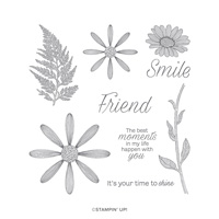 DAISY LANE CLING STAMP SET