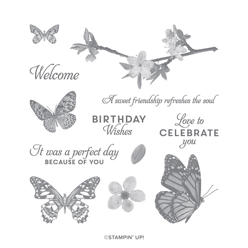 BUTTERFLY WISHES CLING STAMP SET