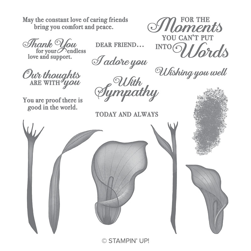 https://www.stampinup.com/ecweb/product/149717/lasting-lily-photopolymer-stamp-set?dbwsdemoid=2035972