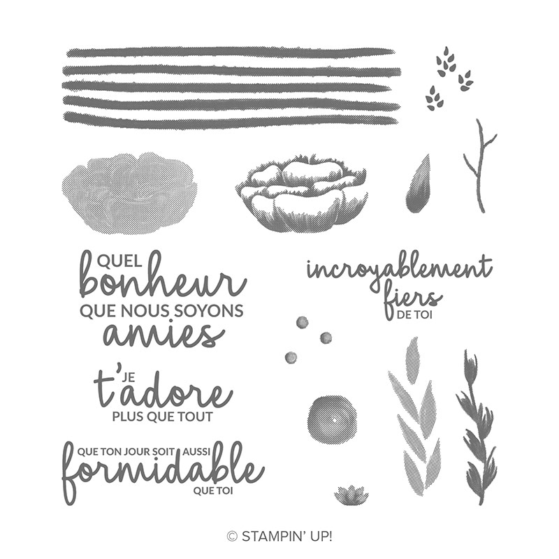 https://www2.stampinup.com/ecweb/product/149845/incroyable-comme-toi-photopolymer-stamp-set-french