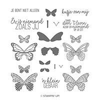 Vlinderdans Photopolymer Stamp Set (Dutch)