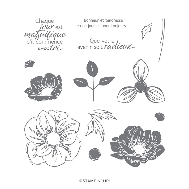 ESSENCE FLORALE PHOTOPOLYMER STAMP SET (FRENCH)