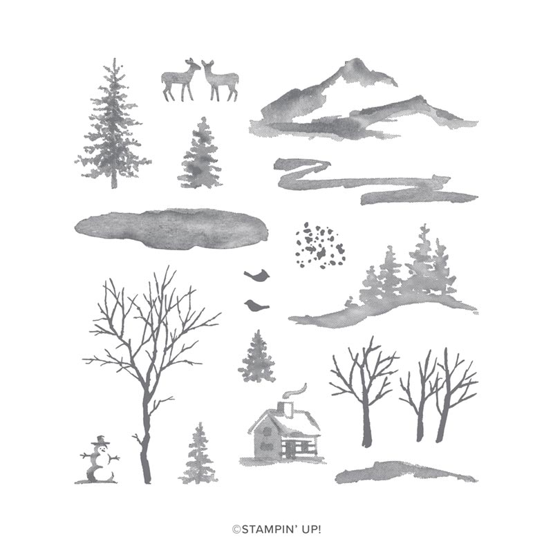 SNOW FRONT PHOTOPOLYMER STAMP SET