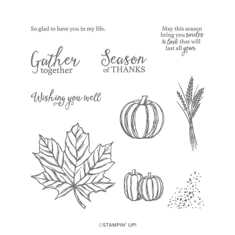 Path Of Petals Photopolymer Stamp Set