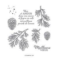 BRANCHES PAISIBLES CLING STAMP SET (FR)