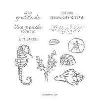 AIR MARIN CLING STAMP SET (FRENCH)