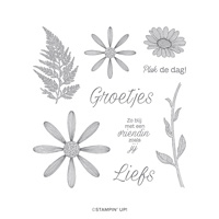 PLUK DE DAG CLING STAMP SET (DUTCH)