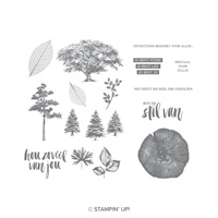 Puur Natuur Cling-Mount Stamp Set (Dutch)