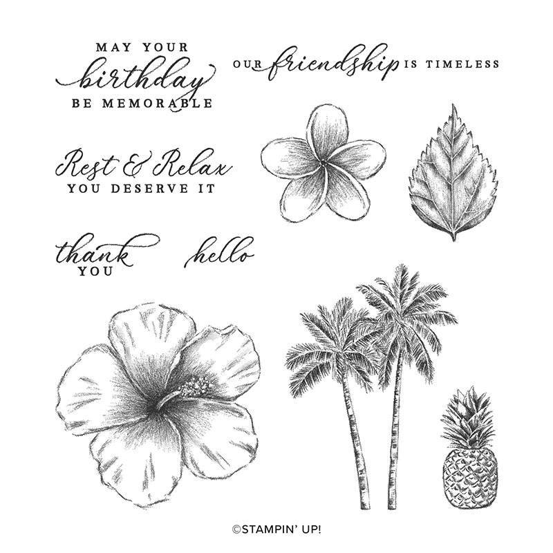 https://www.stampinup.com/ecweb/product/151497/timeless-tropical-cling-stamp-set-english?dbwsdemoid=2035972