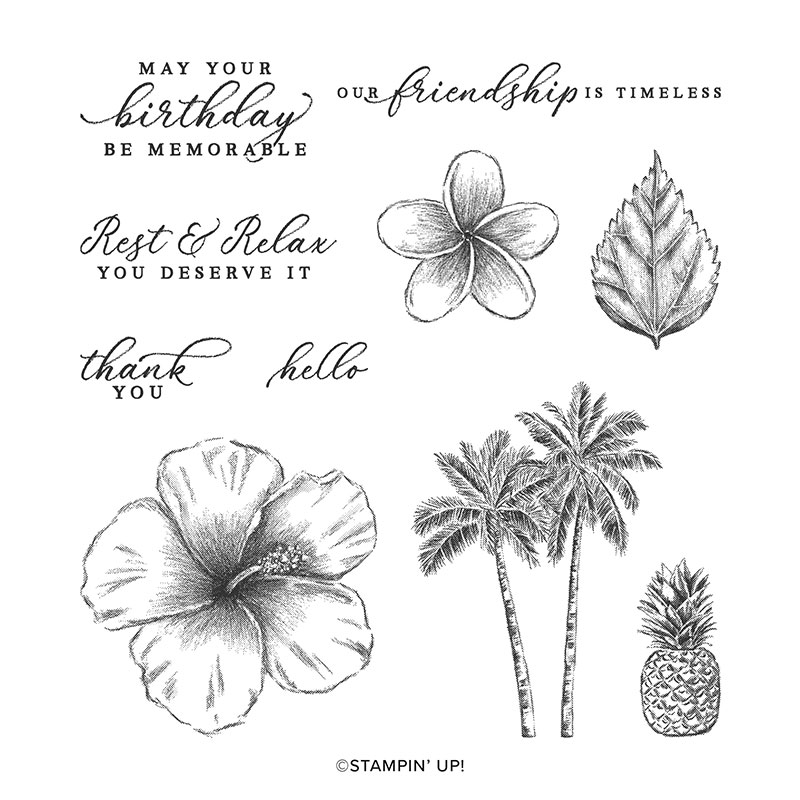 TIMELESS TROPICAL CLING STAMP SET (ENGLISH)