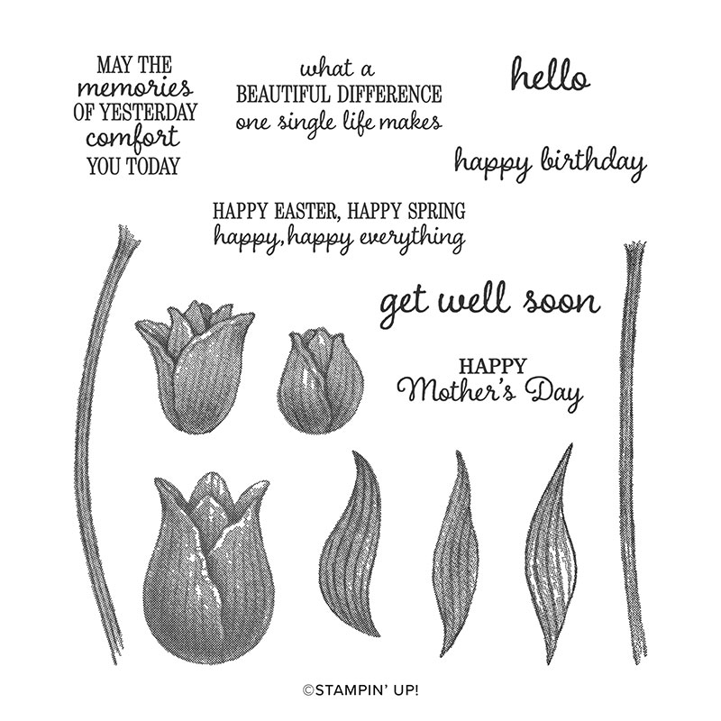 TIMELESS TULIPS PHOTOPOLYMER STAMP SET (ENGLISH)