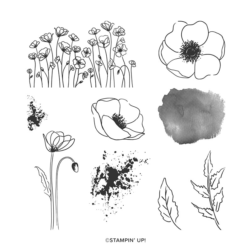 https://www.stampinup.com/ecweb/product/151599/painted-poppies-cling-stamp-set?dbwsdemoid=2035972