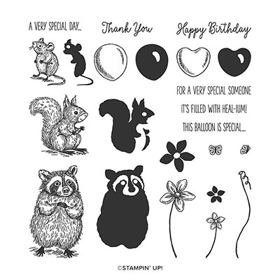 SPECIAL SOMEONE PHOTOPOLYMER STAMP SET