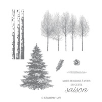 Bois Hivernaux Cling-Mount Stamp Set (French)