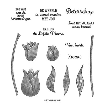 TIJDLOZE TULPEN PHOTOPOLYMER STAMP SET (DUTCH)